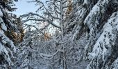 Tocht Noords wandelen Malbuisson - Fort St Antoine  - Photo 8