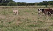 Tocht Stappen Saint-Martin-de-Varreville - laflegme - Photo 1