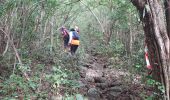 Tour Wandern Rivière-Salée - Rivière Salée - Les Trois-Ilets - Le Défi 2025 - Photo 8