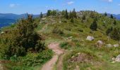 Percorso Marcia Luttenbach-près-Munster - Autour du Petit Ballon et ses fermes auberges - Photo 17