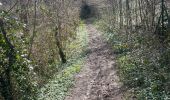 Tour Wandern Stablo - Stavelot- Chemin des source  14 Km - Photo 1