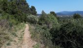 Trail Walking Puget-Ville - Ste Philomène-02-04-21 - Photo 4