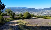 Tour Wandern Le Poët-Sigillat - poët Sigillat-col de Soubeyrand-Tarendol - Photo 9