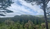 Tocht Stappen Seyne - SEYNES LES ALPES Bas et haut Chardavon  , balade de la Rochette , ravin des Ganiayes , les Côtes n - Photo 5