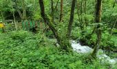 Trail Walking Laqueuille - 2021-06-28 cascade du trador - Photo 2