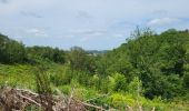 Tour Wandern Ferrières - Burnontige 180623 - Photo 7