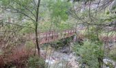 Trail On foot Ronco Canavese - Ronco Canavese - Valprato Soana, loc. Chiesale - Photo 2