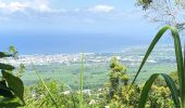 Tocht Stappen Saint-Pierre - Piton Mont Vert 20190217 SH - Photo 5