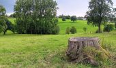 Trail Walking Herve - bolland . favechamps . la vaux . melen . bolland  - Photo 11