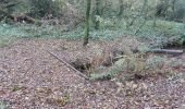 Trail Walking Caudan - PR_56_Caudan_AA_01_Tro-Glas-Kaodan_Circuit1b_20231112 - Photo 2