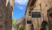 Randonnée Marche Les Baux-de-Provence - Huilerie, Vin, les baux de Provence, avec Château - Photo 13