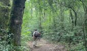 Trail Walking Lacrouzette - Sidobre - Photo 20