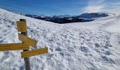 Trail Walking La Giettaz - Tour au col des Aravis - Photo 1