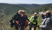 Excursión Senderismo Ollioules - Le gros cerveau - Photo 2