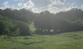 Trail Trail Sainte-Anne - Modette  - Photo 1