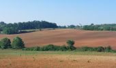 Tour Wandern Monteriggioni - CR_Francigena_DE_41_Monteriggioni_Siena_20230523 - Photo 7