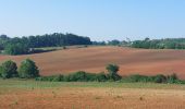 Randonnée Marche Monteriggioni - CR_Francigena_DE_41_Monteriggioni_Siena_20230523 - Photo 7