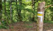 Trail Walking Monestier-Port-Dieu - E2 Monestier- chêne de Sully - Photo 10