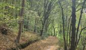 Randonnée Marche Aubel - A la découverte de Val Dieu  - Photo 3