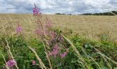 Trail Walking Herbeumont - Mon lit dans l'arbre - Castors - Photo 2