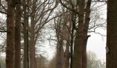 Trail On foot Heusden-Zolder - Eversel Groene rechthoek - Photo 3