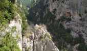 Percorso Marcia La Palud-sur-Verdon - sentier blanc Martel depuis Chalet les Malines - Photo 18