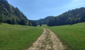 Trail Walking Billiat - GTJ 12 Ferme de Retord/Chalet d'Arviere  - Photo 4
