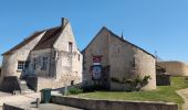 Randonnée Marche Manthelan - Manthelan - le Louroux - via PRs - 20.7km 100m 4h45 (1h) - 2025 04 30 - Photo 8