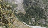 Excursión Senderismo La Chapelle-en-Valgaudémar - PARC NATIONAL DES ECRINS: REFUGE DU PIGEONNIER - Photo 2