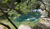 Percorso A piedi Gourdon - Gorges du loup - Photo 9