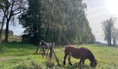 Tour Wandern Kasterlee - 68.509A Kasterlee - Kleine Nete - Photo 3