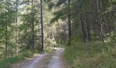 Tour Wandern Chorges - au dessus de Chorges : Naume Raze . les Drayes . parking des Gardes . Forest Barthiers . Naume Raze - Photo 18