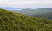 Excursión Senderismo Roquebrune-sur-Argens - Roquebrune sur Argent - Château de La Mère - Le Fournel - Photo 6