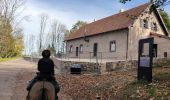 Trail Horseback riding Barembach - 2022-10-30 Journée Rothau Struthof Serva Perheux - Photo 3