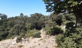Trail Walking Banyuls-sur-Mer - puig de sallfort depuis coll de vallauria - Photo 5