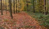 Randonnée Marche Yvoir - dans les bois à Mont - Photo 4