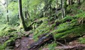 Excursión Senderismo Xonrupt-Longemer - 2024 RA Vosges J3 tour du schiessrothried - Photo 20