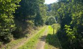 Trail Walking Saint Vith - Alersteg - Photo 5