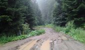 Trail On foot Rymanów-Zdrój - Ścieżka przyrodnicza Rymanów Zdrój - Photo 1