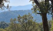 Trail Walking Sainte-Maxime - Vers Peigros - Photo 15