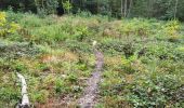 Trail Walking Bouillon - Bellevaux 190923 - Photo 17