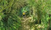 Trail Walking Esneux - Autour de Ham par les deux Gués - Photo 16