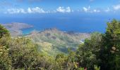 Tour Wandern Nuku Hiva - TOOVII - Photo 6