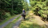 Trail Horseback riding Turquestein-Blancrupt - randonnée turquestein direction Celles-sur-Plaine  - Photo 15