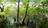 Excursión A pie Trittau - Wanderweg Nr. 36: Großensee - Mölln (GS-MÖ) - Photo 9