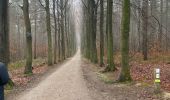 Excursión Senderismo Oud-Heverlee - Meerdael  - Photo 1