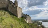 Trail Walking Les Andelys - Les falaises de craies des Andelys  - Photo 4