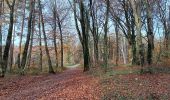 Trail Walking Seraing - la vecquée par les chemins de traverse - Photo 11