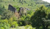 Tocht Stappen Saint-Maurice-Navacelles - Navacelles - Photo 19