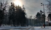 Percorso A piedi Târgu Mureș - Târgu Mureș (Platoul Cornești) - Dealul Nou - Sângeorgiu de Mureș - Photo 2